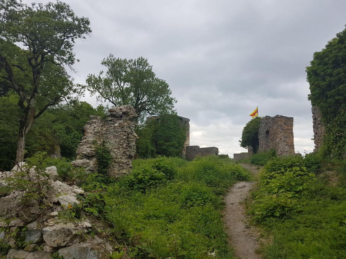 Ferienwohnung Hegau- Bodensee Og Muhlhausen-Ehingen Exteriör bild